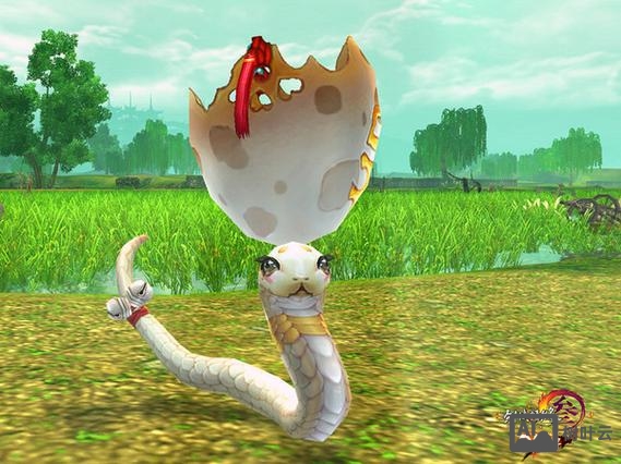 剑网三官方宏命令