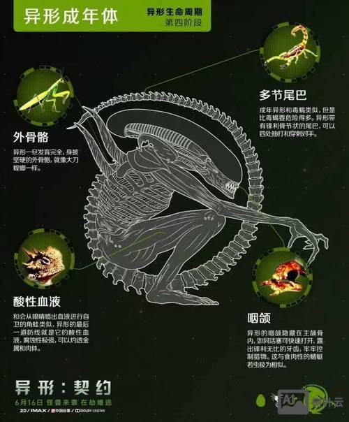 古代异形如何通过运行