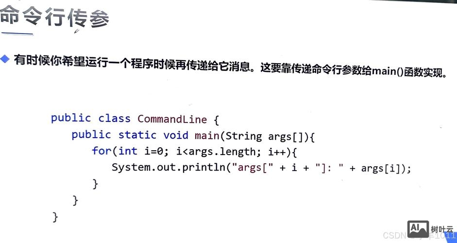 java 命令行 传递 参数