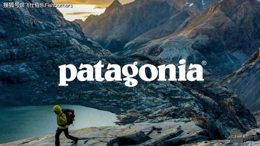 patagonia招聘