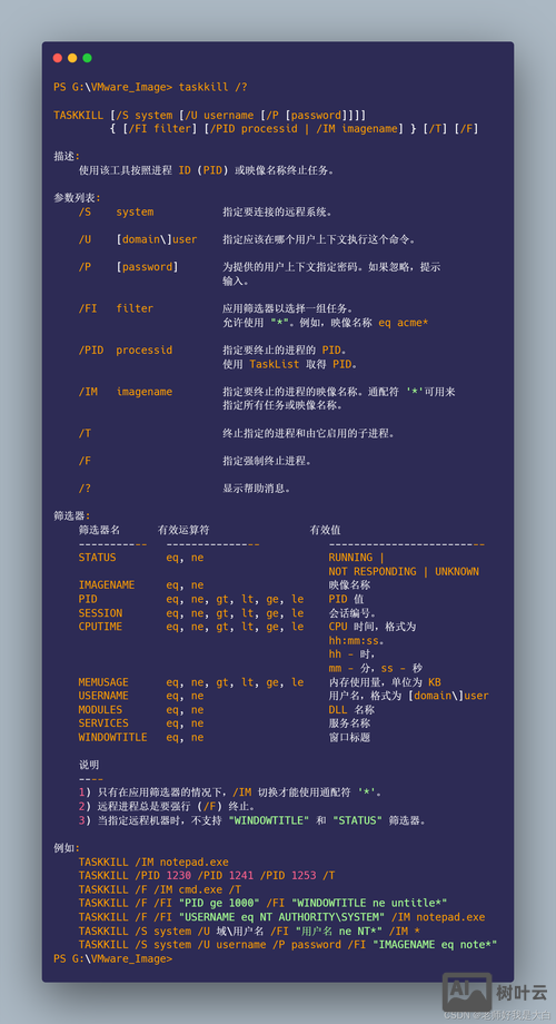 命令行 运行bat文件