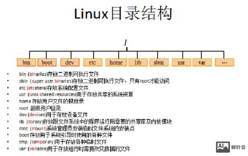 linux拷贝文件到目录命令