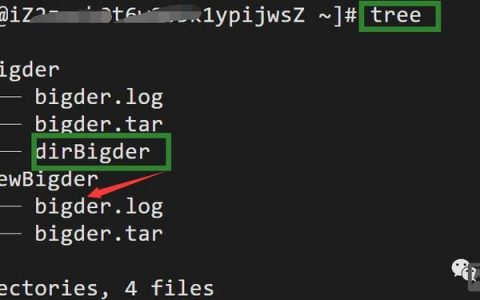copy命令如何复制整个文件夹？