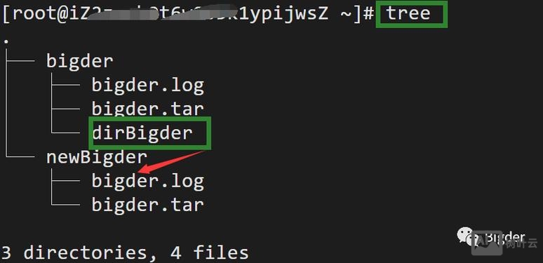 copy命令复制文件夹