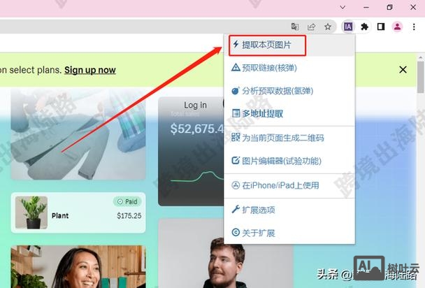 如何找到网页上的图片