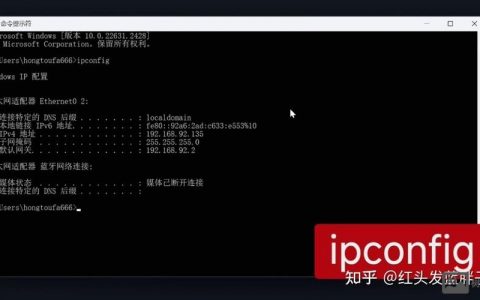 Windows命令行如何快速查看IP地址？