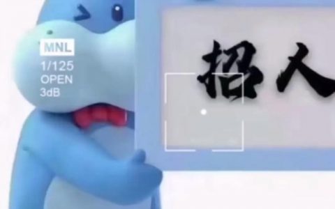 PonyGo招聘什么岗位？薪资待遇如何？