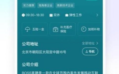 Bass招聘要求有哪些？薪资待遇如何？