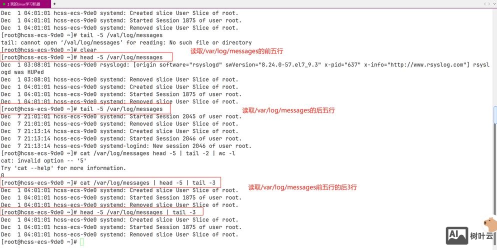 linux shell 命令 返回值