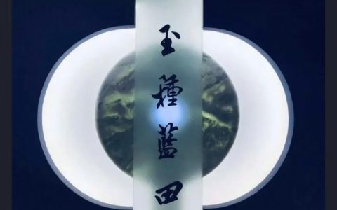 Sedo招聘什么岗位?要求有哪些?