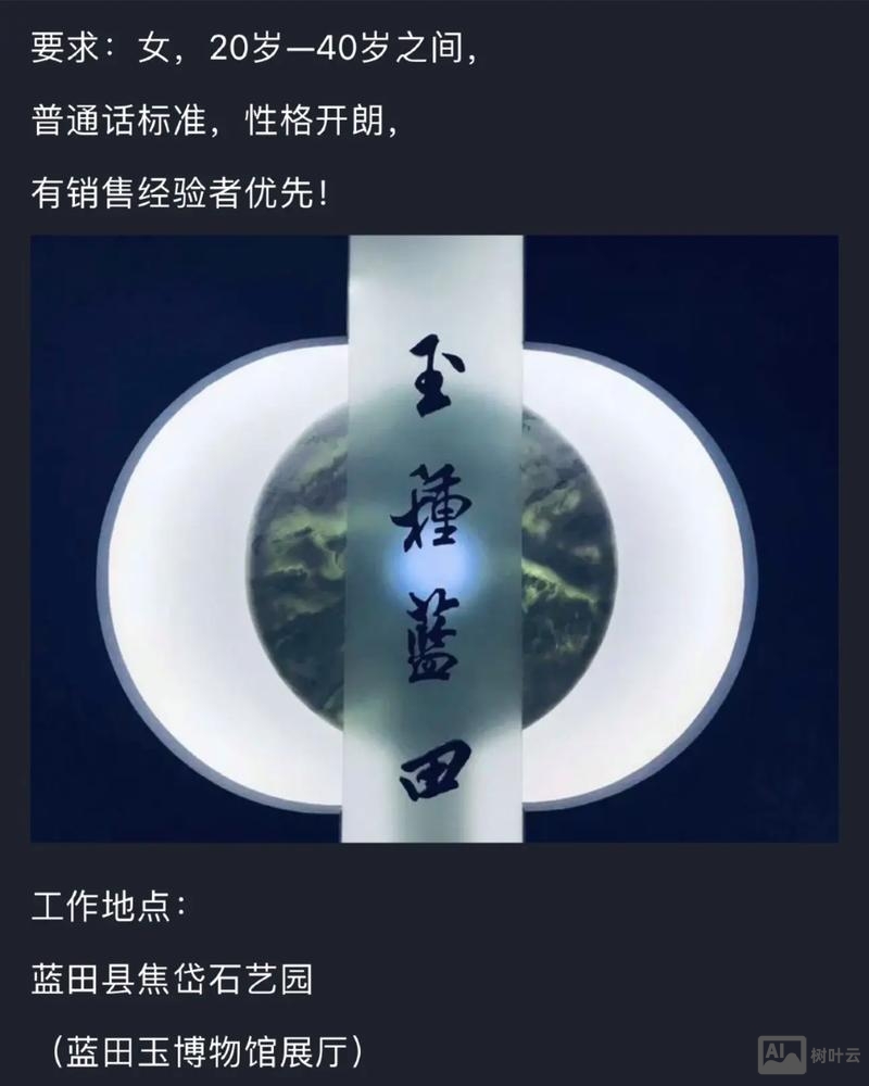 Sedo招聘什么岗位？要求有哪些？ - 树叶云