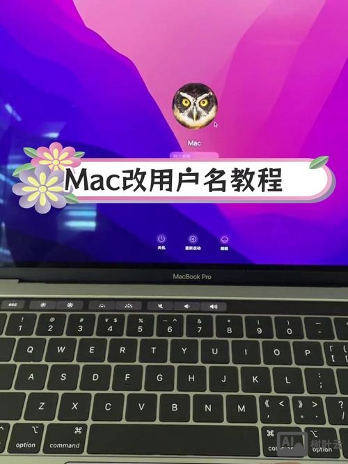 mac 命令行创建用户