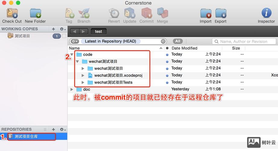 命令连接svn服务器