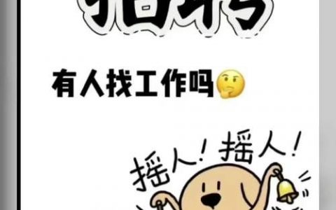 MBT招聘有哪些岗位和要求？