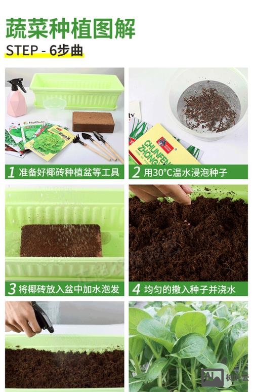 蔬菜种子如何提纯