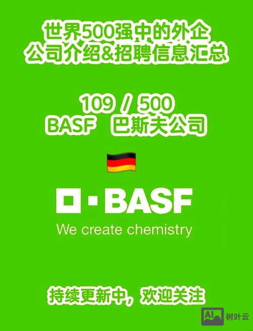 baseus 招聘