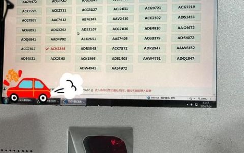 车牌号书写规范有哪些？