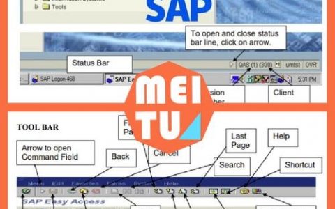 SAP常用命令有哪些？