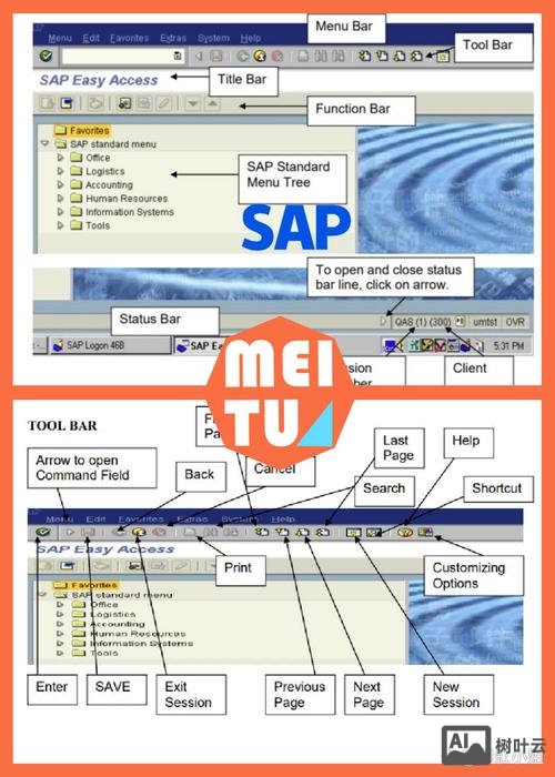 sap 常用命令