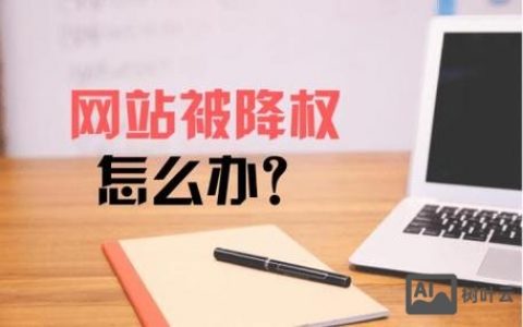 网站降权了怎么办？