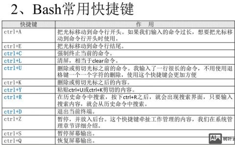 Shell查找命令行有哪些常用技巧？