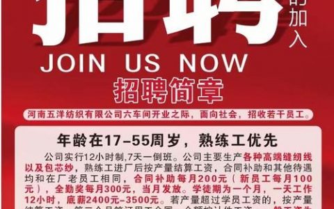 ones招聘什么岗位?