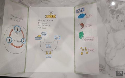 山姆妈感觉如何用英语怎么说?