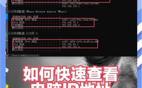 测试IP地址命令有哪些？