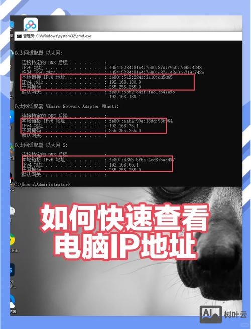 测试ip地址命令是