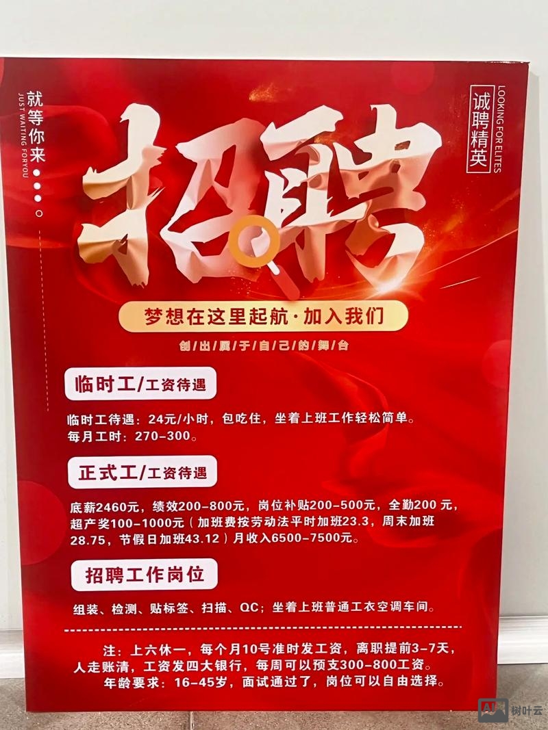 tiseliz招聘