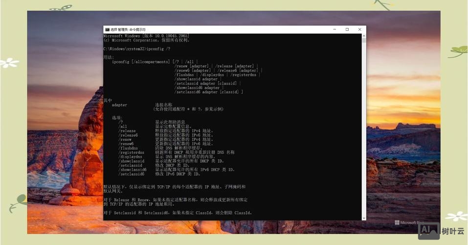 ipconfig renew命令执行效果