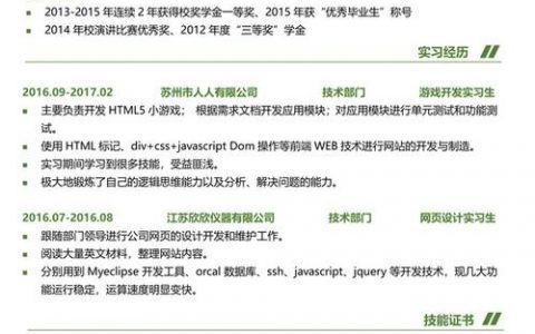Java Team Lead 招聘，核心要求与职责是什么？