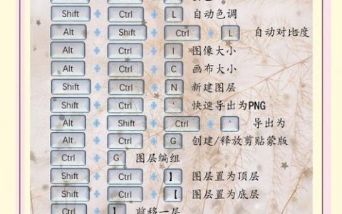 PS计算命令在哪找？