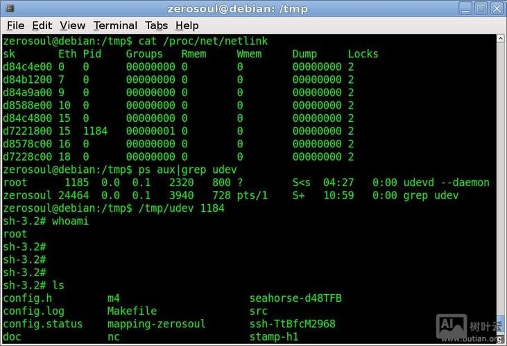 虚拟机shell命令