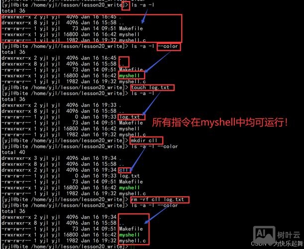 虚拟机shell命令