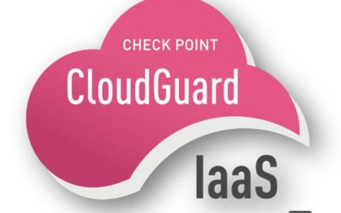 Checkpoint防火墙命令有哪些常用操作?