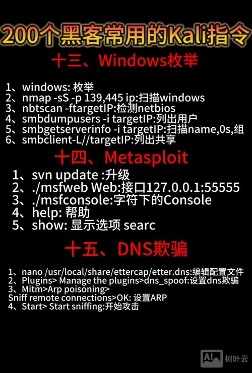 kali 进入命令行