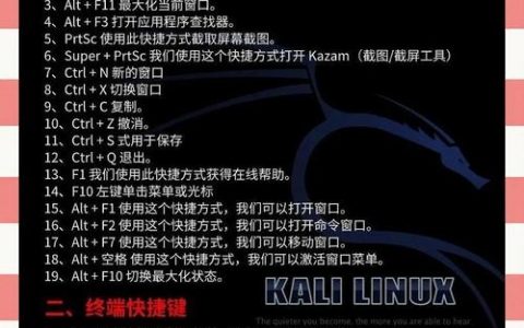 kali如何进入命令行界面？