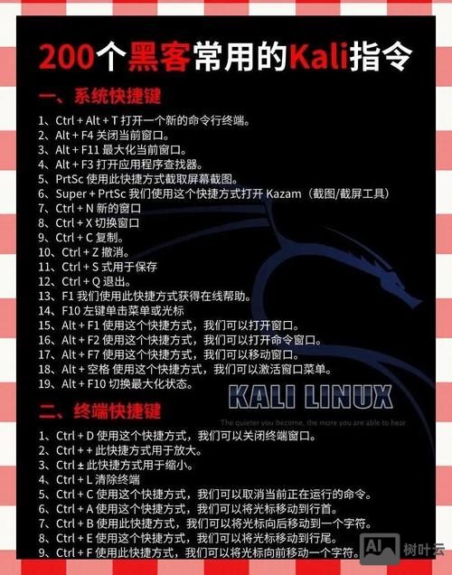 kali 进入命令行