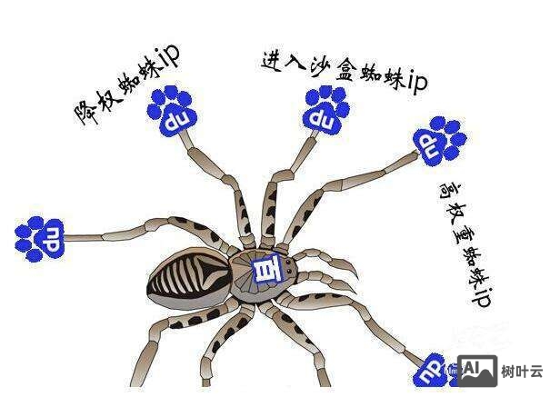 如何识别百度蜘蛛