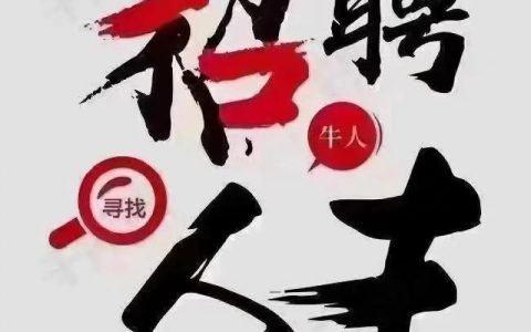 ddbo招聘什么岗位？要求有哪些？