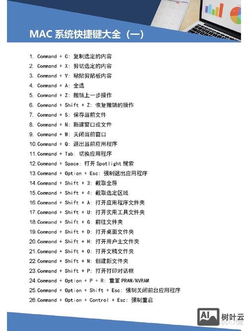 mac 新用户 命令