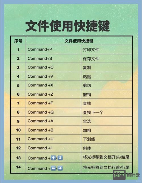 mac 新用户 命令