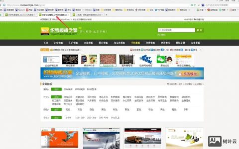 织梦会员模板如何调用?