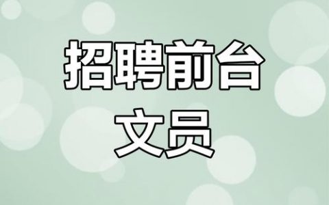 文思招聘，招什么岗位？