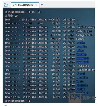 ls命令 什么意思