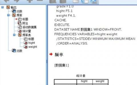 SPSS停止执行命令怎么办？