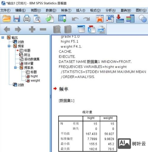 spss停止执行该命令