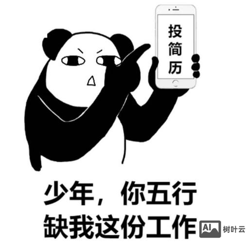 招聘疑问