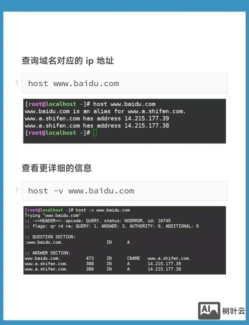 svn 命令行 checkout